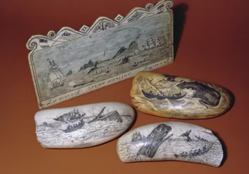 Scrimshaw di balena (dente)